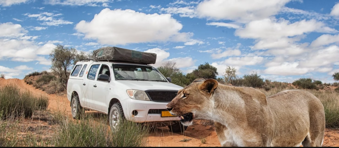 Kgalagadi Transfrontier Park, Southwest Botswana (Kgalagadi), Botswana